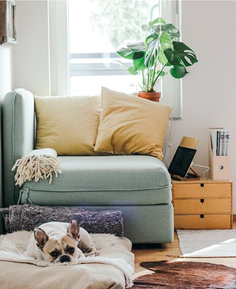 Home interior with couch and pillows